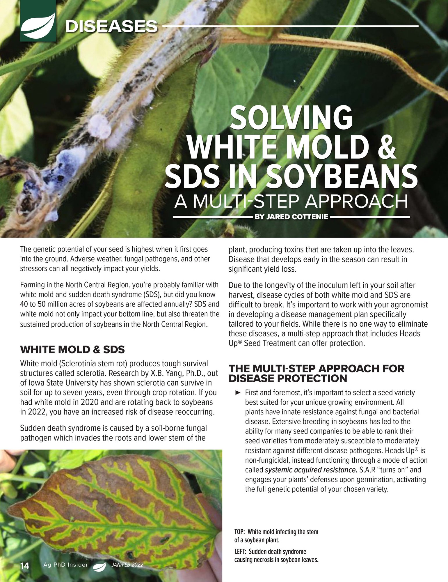 Ag PhD Insider Magazine - Mar Apr 2022 Pg 1 Ag PhD Insider Magazine - Mar Apr 2022 Pg 1